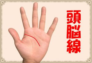 頭脳線(手相)から分かるあなたの才能・考え方とは？