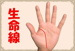 【占い師監修】生命線(手相)の基本、枝分かれの意味とは？