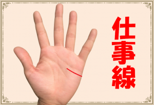 仕事運！手相から転職・向いている仕事・転機が分かるの！？