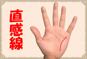 直感線の意味とは？第六感に優れた貴重な手相