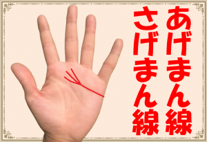 【手相】あげまん線・さげまん線！あなたはどっち？